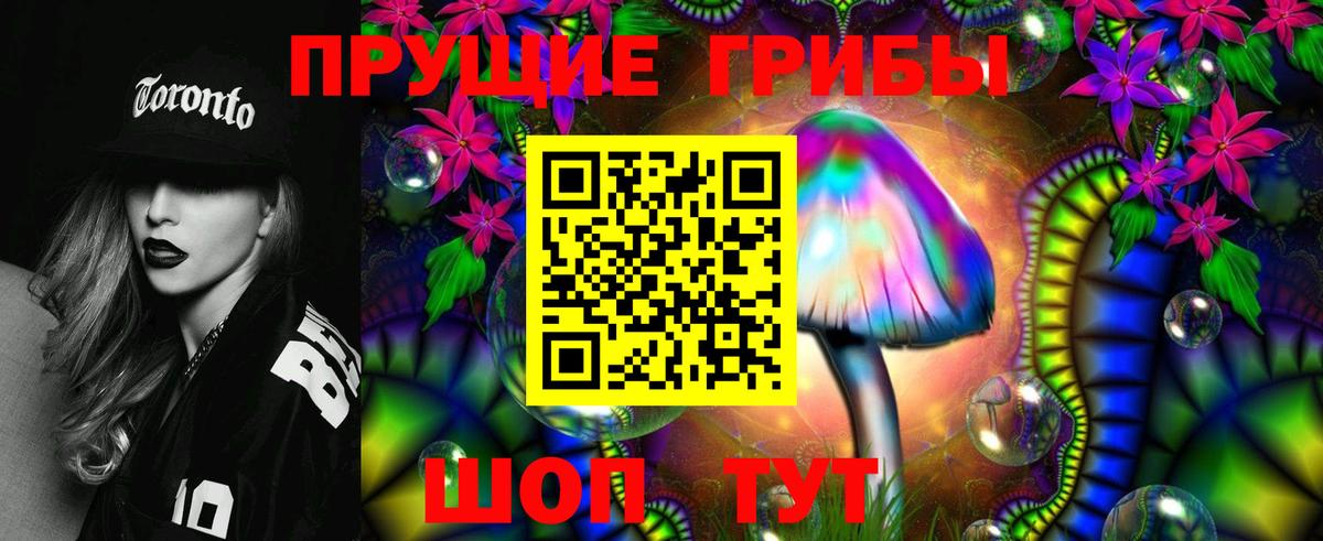 Псилоцибиновые грибы прущие грибы Коряжма